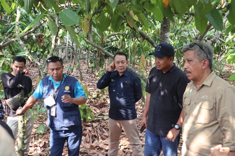 Polbangtan Malang Perkuat Kapasitas Petani Milenial Kakao