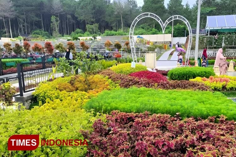 Pesona Bee Park Majalengka, Destinasi Romantis bagi Pecinta Bunga