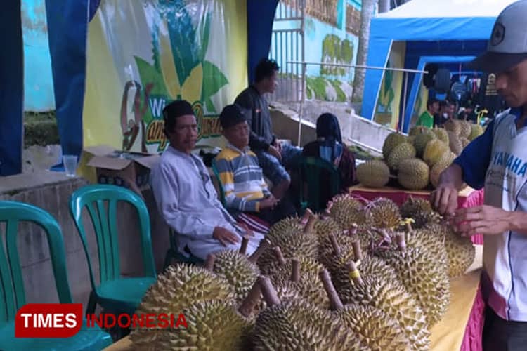 Lima Kecamatan di Bondowoso Penghasil Durian Terenak