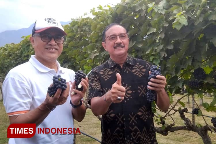 Harvest Festival di Bali, Hatten Wines Perkenalkan Anggur Limited Edition Chenin Blanc