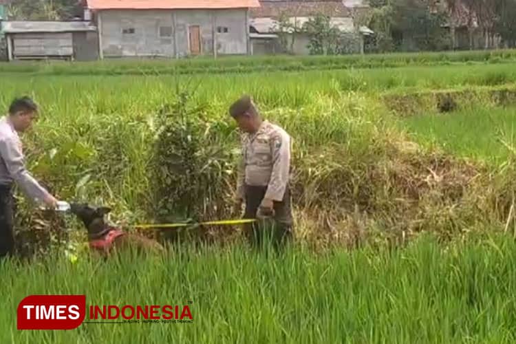 Polisi Akhirnya Menangkap Pelaku Pembunuhan Petani di Pakuniran Probolinggo