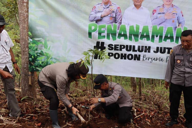 Sepuluh Juta Bibit Pohon Ditanam Serentak di Magelang