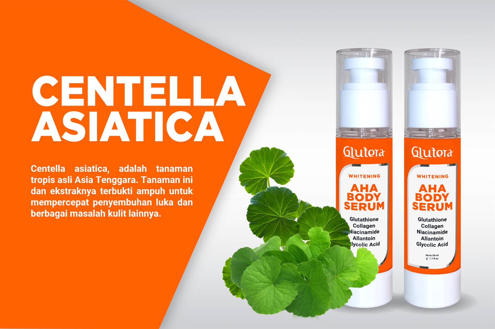 7 Manfaat Centella Asiatica untuk Kesehatan Kulit