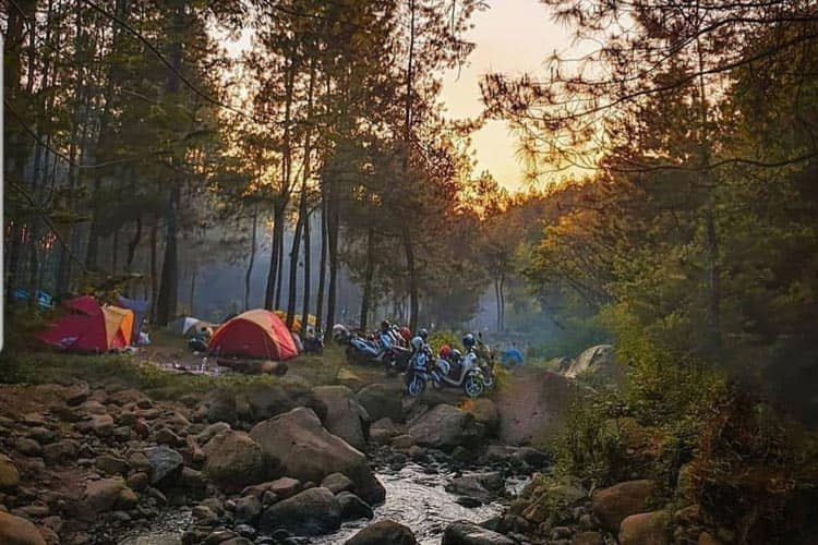 Ini Dia 5 Tempat Camping Rekomendasi di Malang Raya