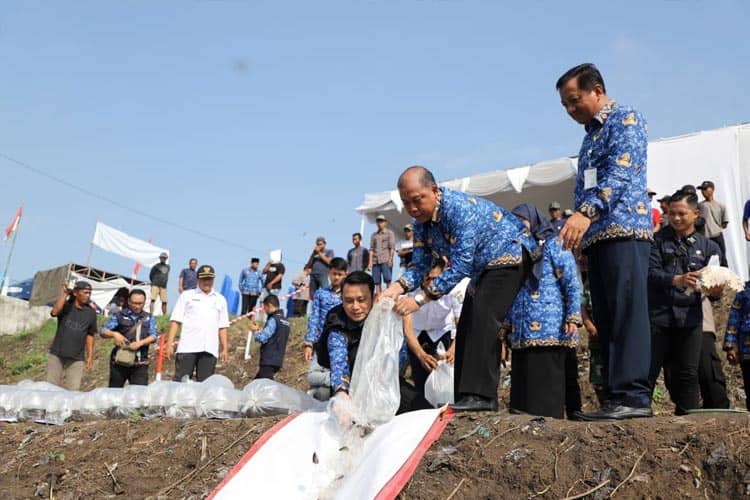 Pemkab Jombang Tebar Bibit Wader dan Gurami di Sungai Konto