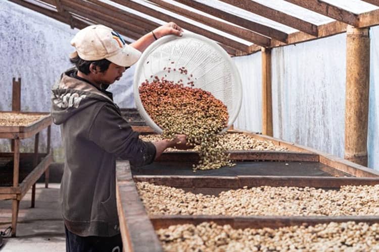 The Cold Crafters: Perusahaan Roastery Indonesia yang Diakui Dunia untuk Rasa dan Kualitas Kopi Terbaik