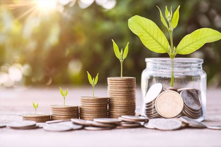 Keuntungan Memilih Investasi di Reksadana Pasar Uang