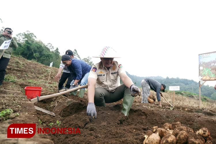 Hebat, Petani Milenial Produktif di Desa Sumberbrantas