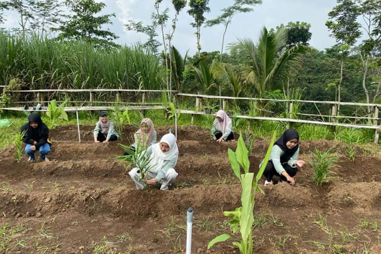 Mahasiswa KSM-T Unisma Malang di Desa Jabung Mengadakan Pemberdayaan Masyarakat Melalui P2L