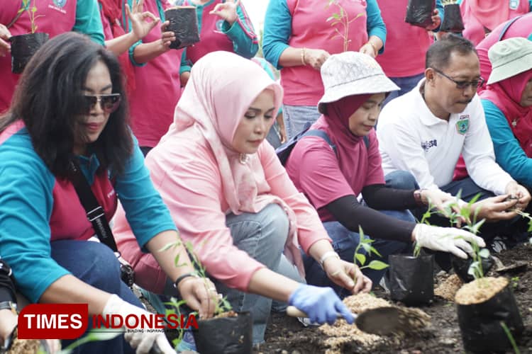 Cegah Kanker, PKK Kota Batu Tanam Cabe Serentak di 24 Titik