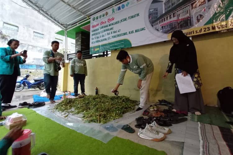 Unisma Malang Gelar Pelatihan Pemanfaatan Limbah Pertanian Sebagai Pakan Ternak