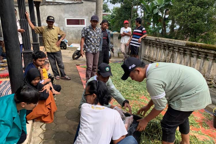 Tim KSM Unisma Malang Berikan Solusi Alternatif Pakan Ternak saat Musim Kemarau