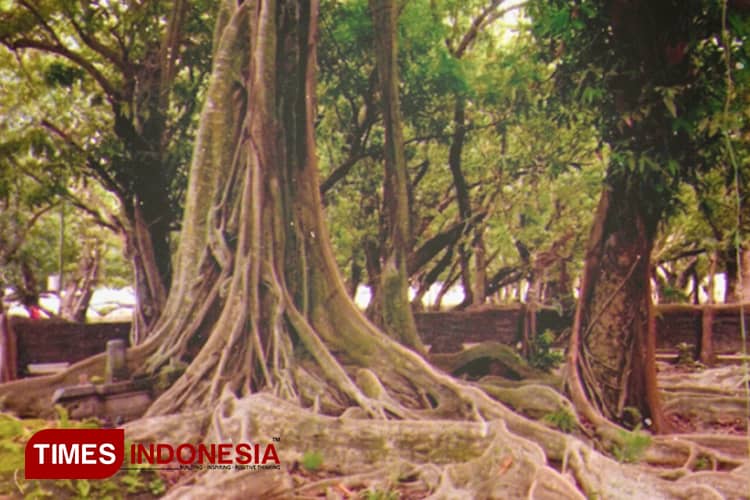 Sukosewu Ponorogo Saksi Sejarah Perjuangan Pangeran Diponegoro