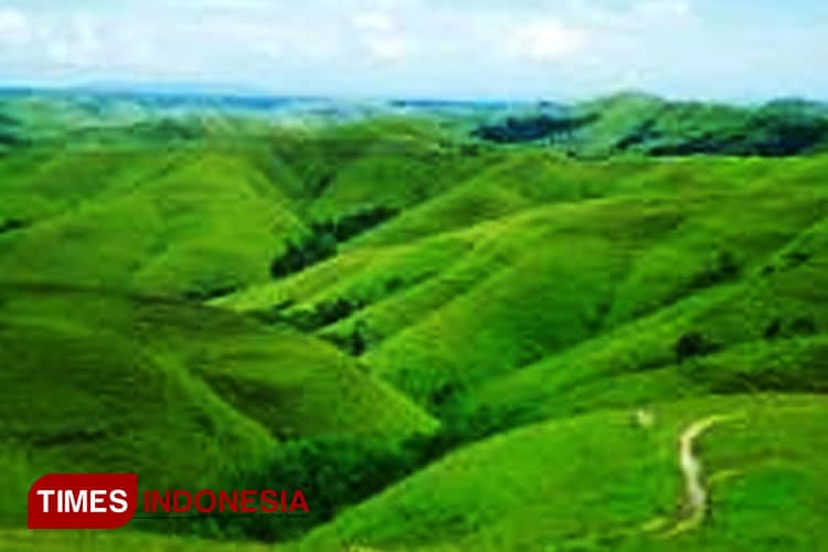 3 Tempat Pilihan Wisata Bukit Sumba Timur yang Bisa Dinikmati
