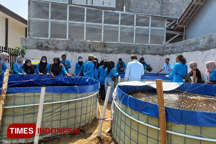 Bio HydroFarm UNIPMA Siapkan Formulasi Bioflok bersama Disperta Kota Madiun