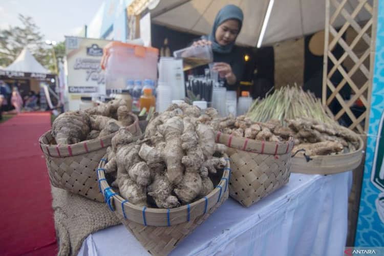 Catat, Inilah Khasiat Ramuan Madura untuk Kesehatan Perempuan