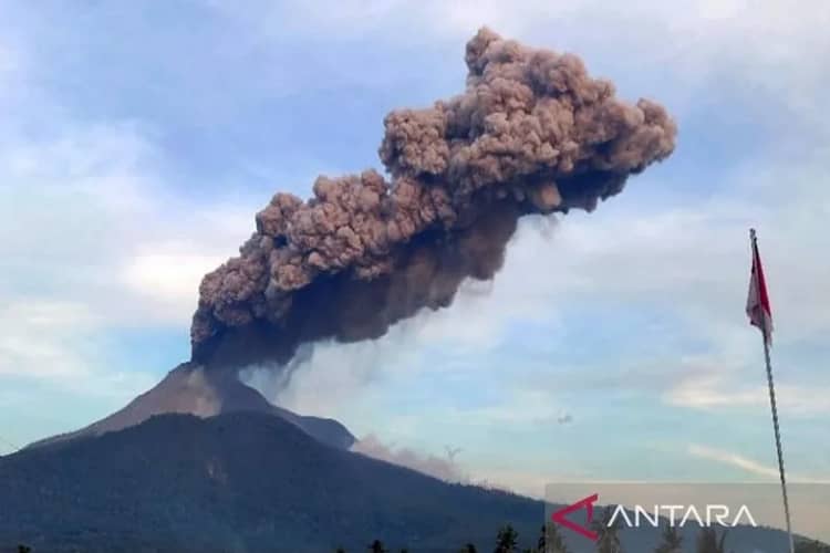 INFO GRAFIK: Letusan Gunung Lewotobi Laki-laki