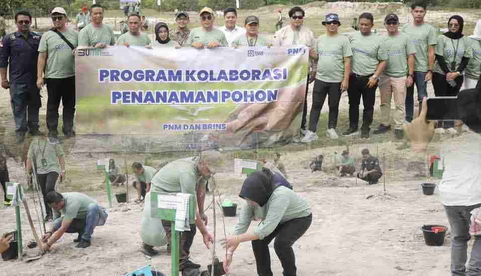 Tanam Seribu Pohon, PNM Dukung ESG untuk Wujudkan Keberlanjutan 