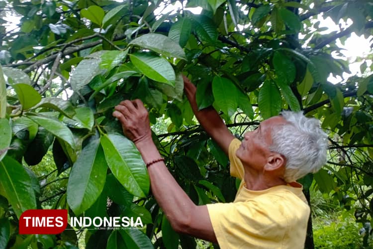 Dari Dampit Malang, Ini Pewaris Pelopor Lingkungan hingga Sumber Air Kehidupan