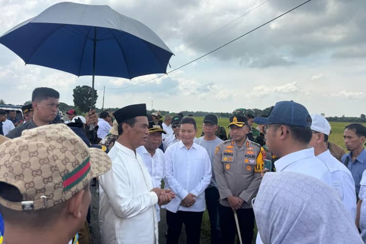 Mentan RI ke Majalengka, Tinjau Lahan Panen Raya yang akan Dihadiri Presiden Praabowo