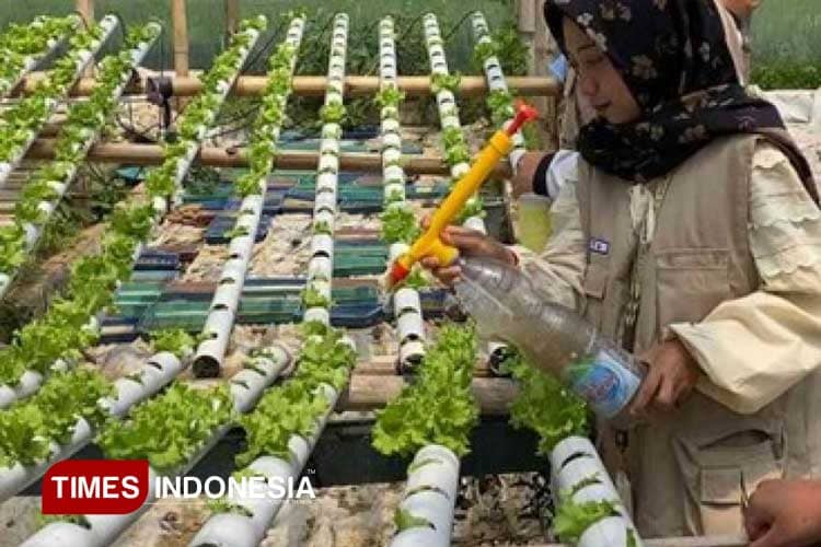 Mahasiswa Unisma Malang Peduli Petani: Berinovasi dengan Pestisida Nabati dan Herbisida Alami
