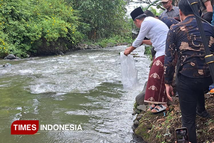 Kembalikan Ekosistem Asli, Bupati Jember Fawait Tebar Ribuan Benih Ikan ke Sungai Silo