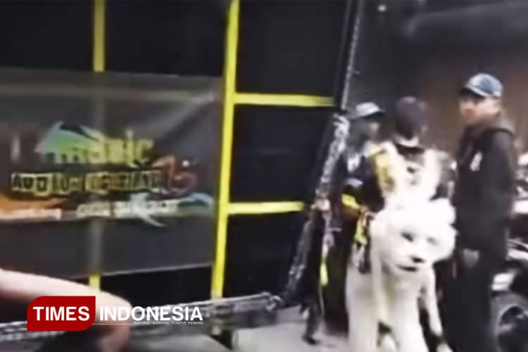 Kronologi Kericuhan Karnaval Mulyorejo Kota Malang, Gegara Suara Sound Horeg