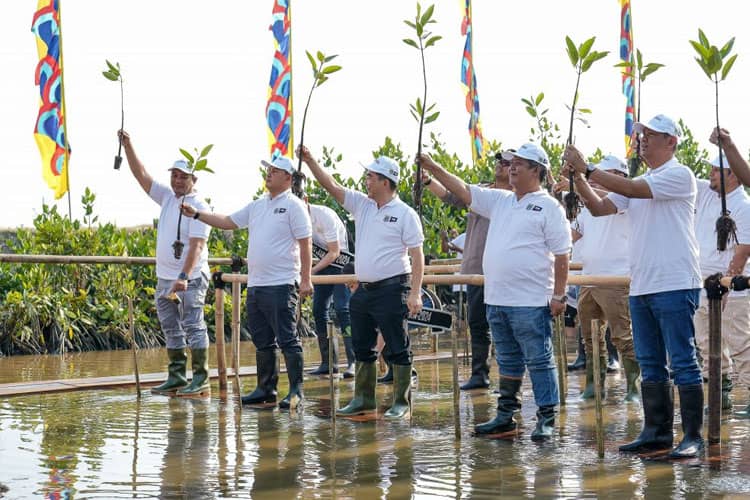Komitmen PT KCN dalam Penanaman Mangrove sepanjang 4 Kilometer Mendukung Hari Mangrove Sedunia 2025