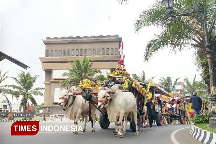 Antusiasme Bajingan Bertambah, Parade Cikar 2025 Kediri Makin Meriah