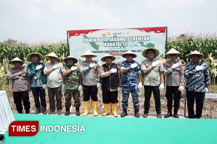 Panen Raya Jagung di Jombang, Bupati Warsubi Tegaskan Sinergi Jadi Kunci Ketahanan Pangan