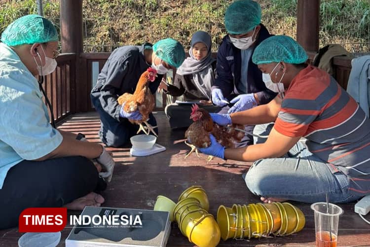 Gebrakan Mahasiswa PKM-RE 2025 UNISMA Tingkatkan hasil Peternakan Lewat Minyak Maggot