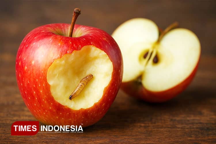 Buah Berulat Masih Bisa Dimakan? Simak Hukum Fiqihnya