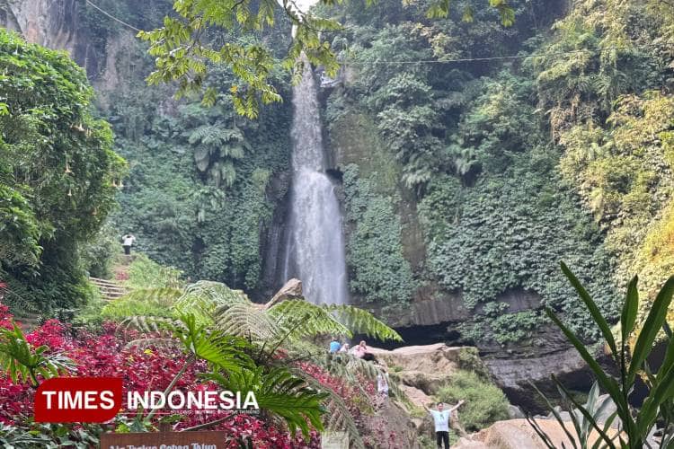 Pesona Air Terjun Coban Talun, Harmoni Alam di Tengah Hutan Pinus