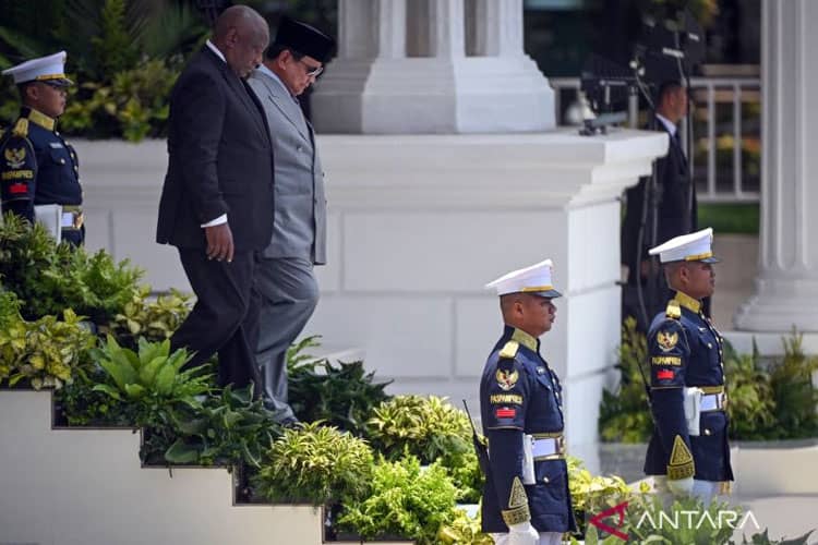Prabowo dan Ramaphosa Bahas Perdamaian Palestina di Istana