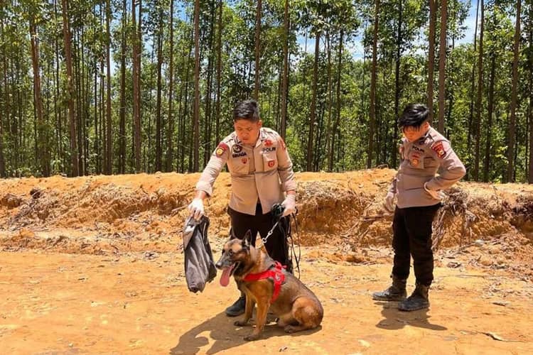 Lelah Berhari-hari Cari Korban, Kisah Anjing Pelacak Polda Riau Gugur di Agam