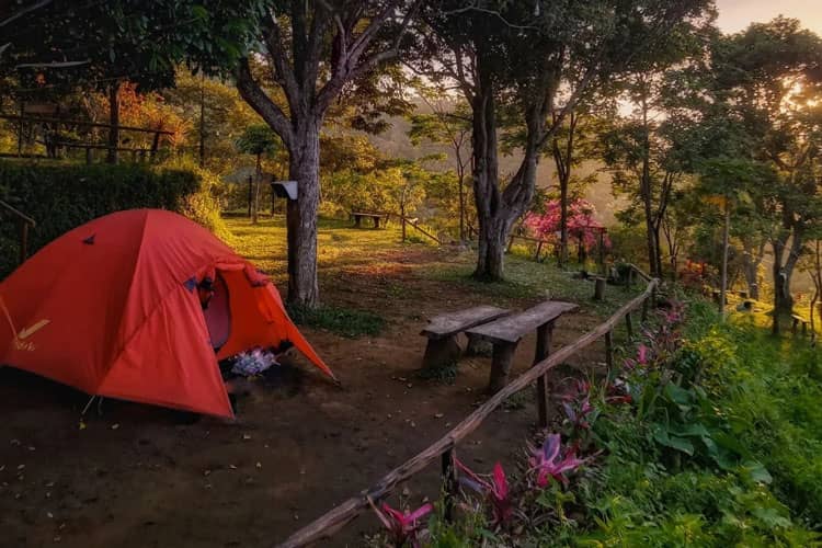 Rembangan: Your Weekend Gateaway in Jember