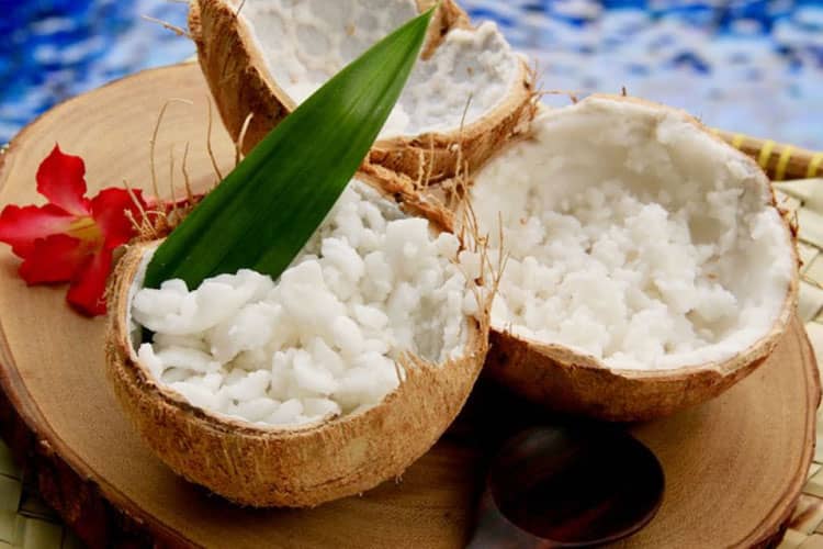 Penjelasan Ilmiah Terbentuknya Kelapa Kopyor