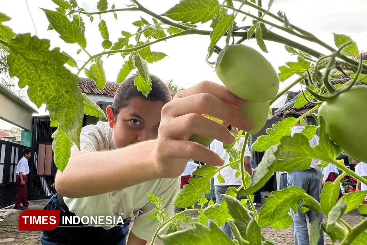 Dukung Ketahanan Pangan, Urban Farming SLB Argasari Lestari Jadi Solusi Edukatif di Tengah Keterbatasan Lahan