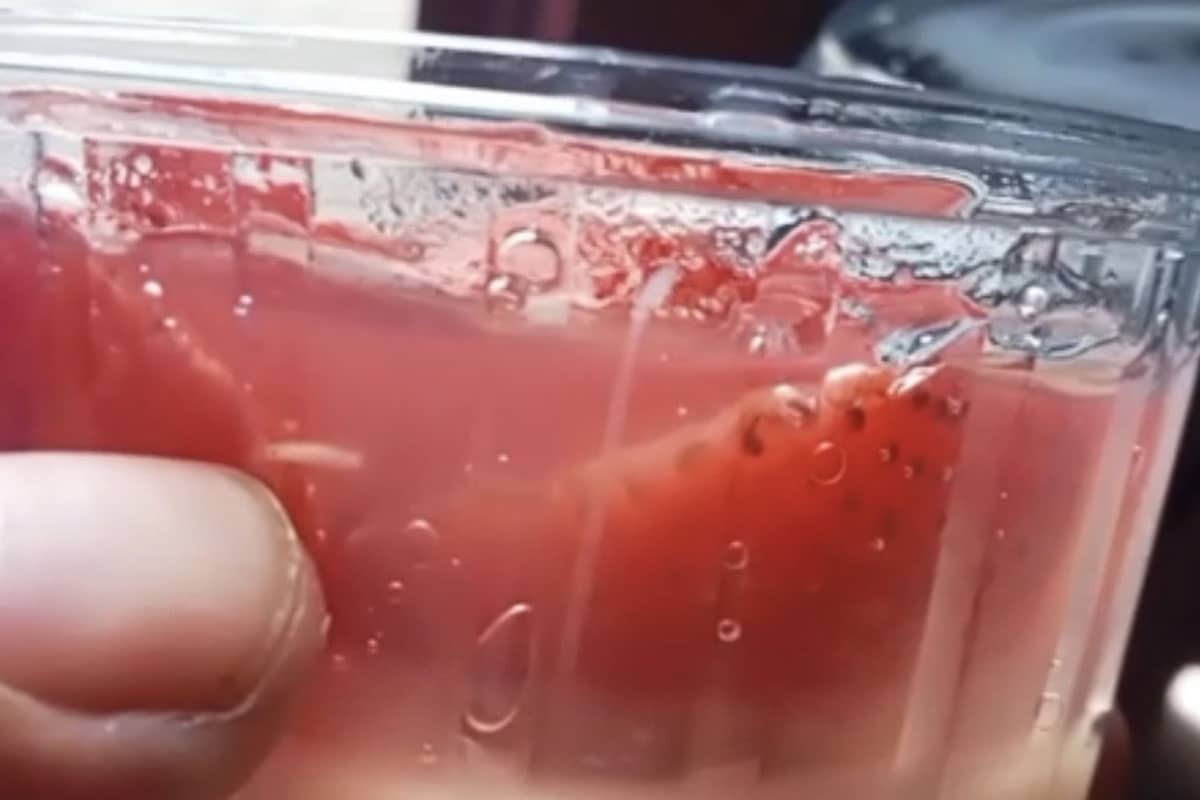 Wali Murid di Kota Malang Temukan Belatung di Menu MBG Puding Stroberi