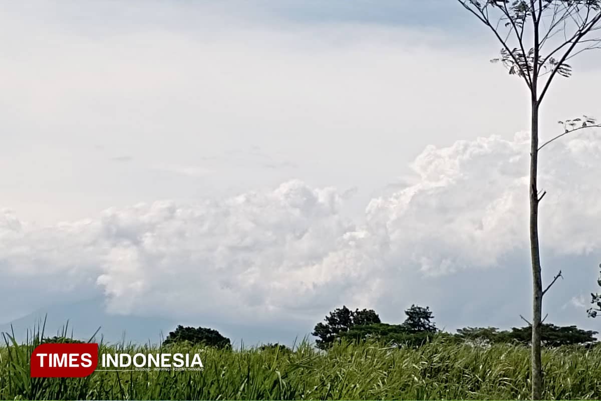 BMKG Keluarkan Peringatan Dini Angin Kencang di Malang Raya, Warga Diminta Waspada
