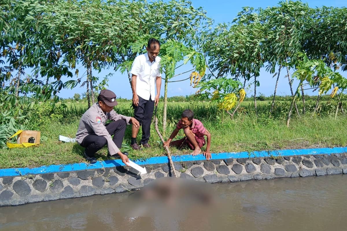 Jasad Perempuan Ditemukan Mengapung di Kanal Dam Puter Purwoharjo Banyuwangi