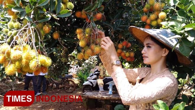 Desa Kebonagung Gresik Akan Kembangkan Agrowisata Buah