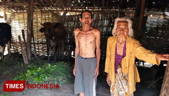 Memprihatinkan, Beberapa Janda Tua di Malang Hidup di Kandang Sapi