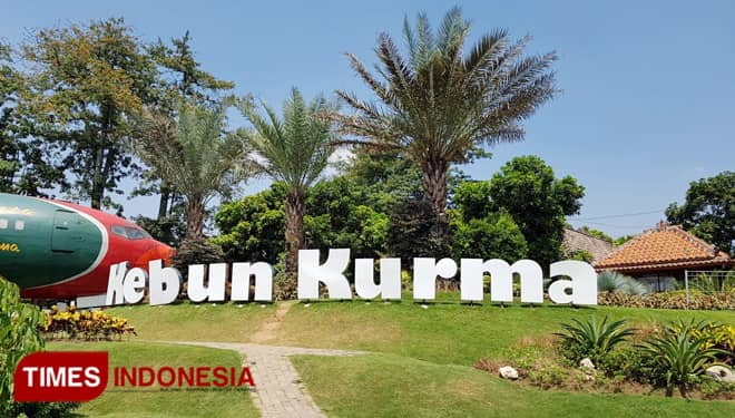 Merasakan Sensasi Timur Tengah di Wisata Kebun Kurma Pasuruan
