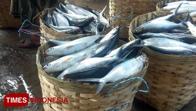Kaya Nutrisi Penting, Ini Manfaat Makan Ikan Bandeng untuk Tubuh