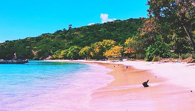Indahnya Mengukir Kenangan di Pantai Pink Lombok