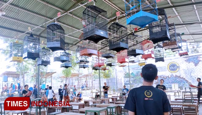 Indahnya Kicau Burung di Bondowoso Republik Kopi