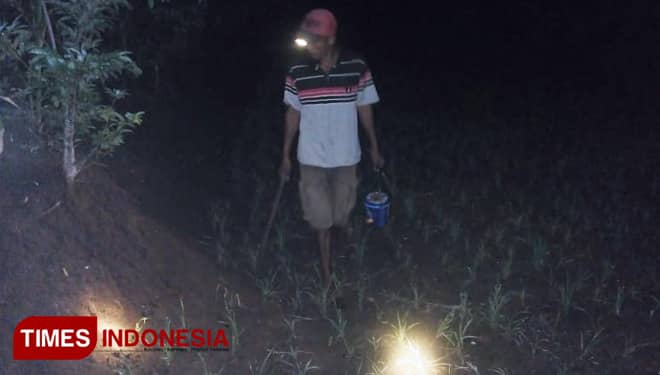 Tiga Tahun Isom Jadi Pemburu Kelabang, Hasilnya Wow Banget!