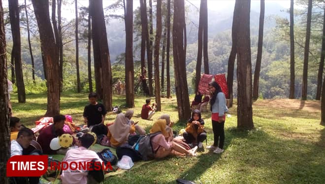 The Breathtaking Tourism Potential of Nongko Ijo Pine Forest