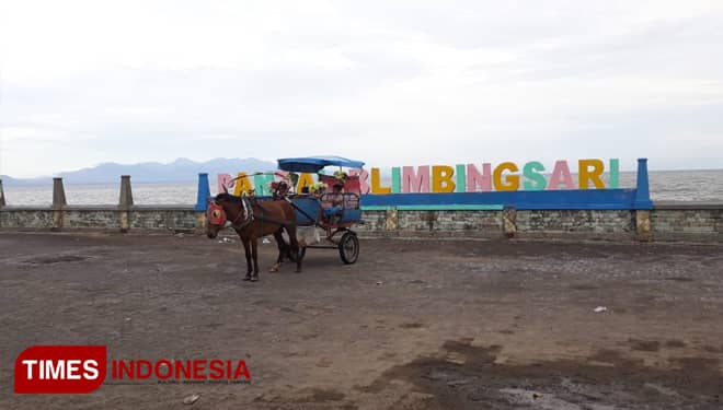 Sensasi Berkuda di Pantai Blimbingsari Banyuwangi